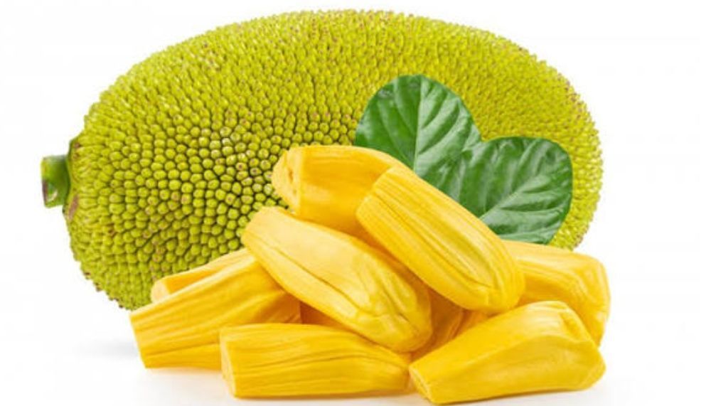 চীনে যাচ্ছে বাংলাদেশের কাঁঠাল
