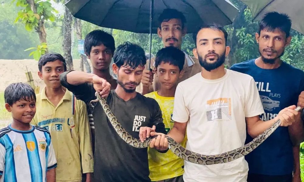 বন্যায় সাপের উপদ্রব চট্টগ্রাম