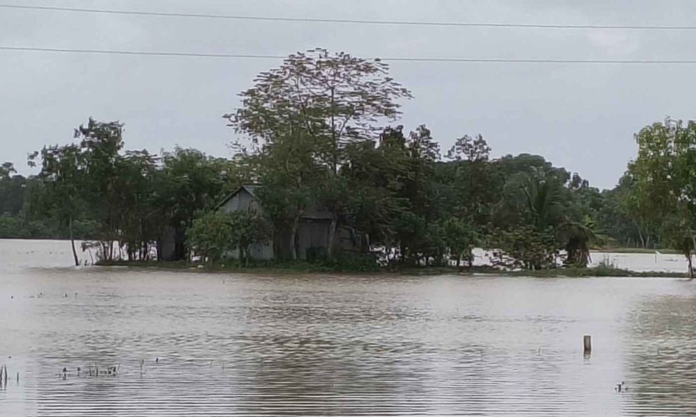 আখাউড়ার তিন ইউনিয়নে উজানের ঢলের পানি কমতে শুরু করেছে