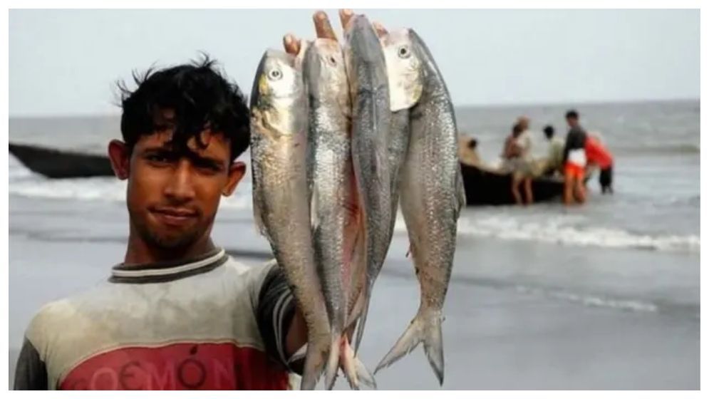 ইলিশ ধরায় নিষেধাজ্ঞা